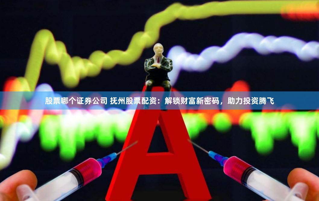 股票哪个证券公司 抚州股票配资：解锁财富新密码，助力投资腾飞