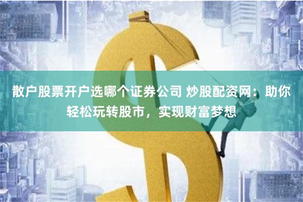 散户股票开户选哪个证券公司 炒股配资网：助你轻松玩转股市，实现财富梦想